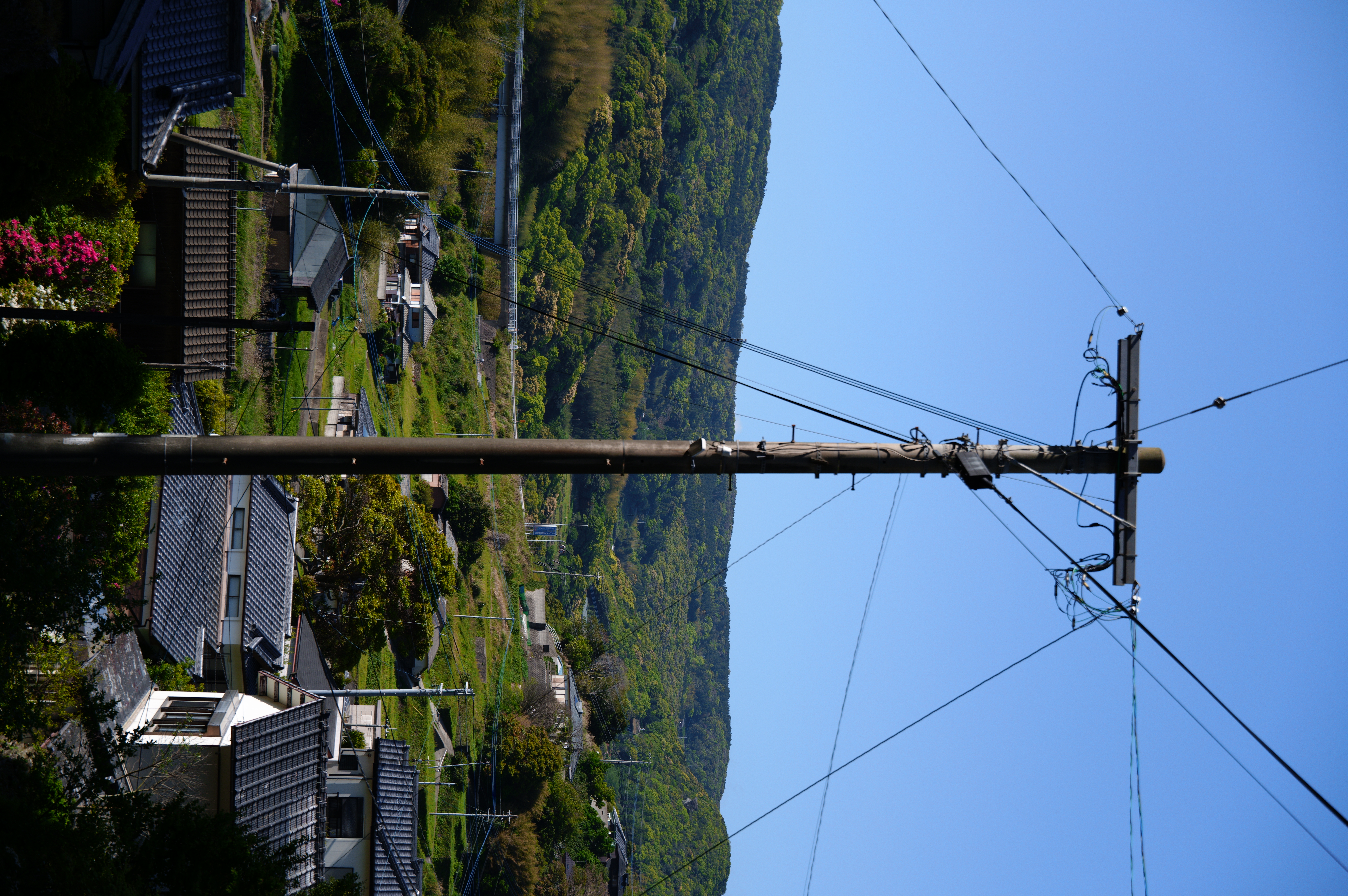 Photo 9 from Scenery